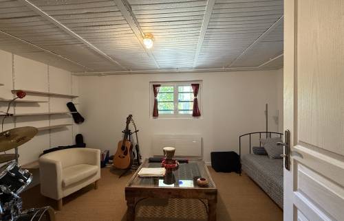 Création d'une pièce au sous-sol à Antony