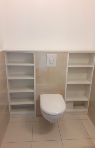 Toilette entouré d'étagères de rangement 