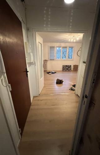  Salon avant rafraichissement
