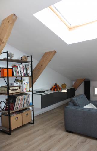 Pièce lumineuse - vue fenêtre de toit 2