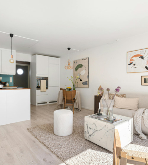 Modernisation complète d’un appartement à Andrézieux (42160)