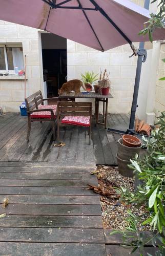 Aménagement Jardin AVANT