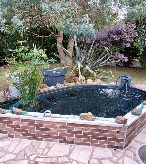 Bassin d'agrément à poissons