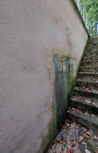 mur sale mousse