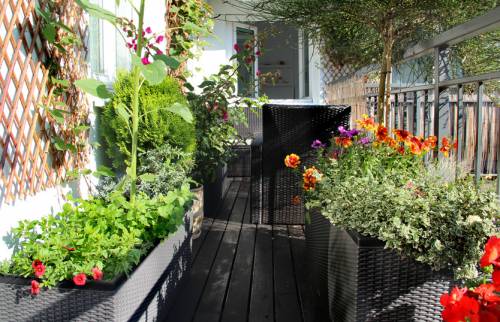 aménager un jardin sur un balcon Grenoble