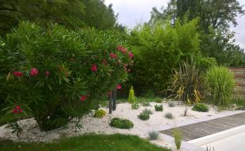 Création de jardin sur pierre de rivière