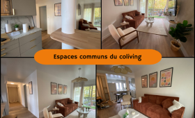 Rénovation d'appartement en espace coliving avec aménagement de l'espace commun -Montauban 82000