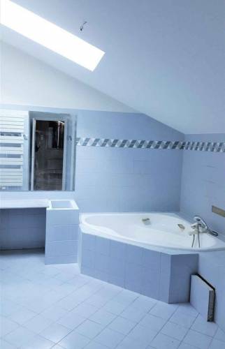 Vélux installés - Lyon 3