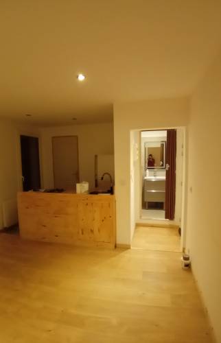 T2 rénové Aix-Les-Bains salon avant 1