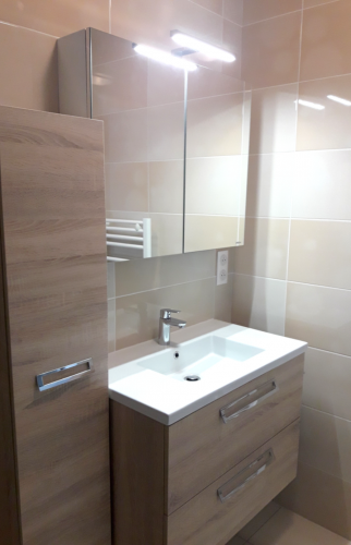 Salle de bain meuble vasque et colonne de rangement