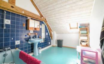 Rénovation de salle de bain à Plessé (44)