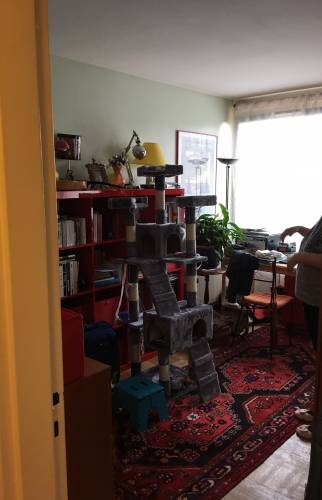 Avant et après rénovation chambre à Olivet