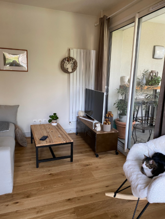 Rénovation de salon Tassin-la-Demi-Lune