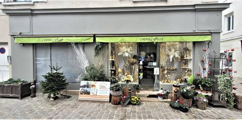 Ravalement de façade de devanture de boutique fleuriste - Brie-Comte-Robert 77170