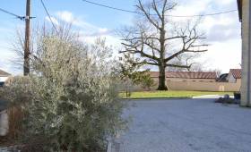 Aménager mon allée Haguenau