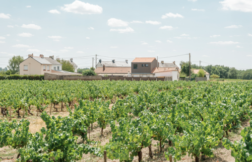 Création d'une surélévation à Vertou - vue sur le vignoble