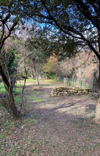 Réhabilitation jardin provençal