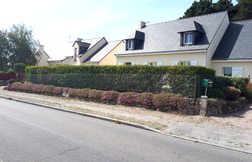 AVANT haie végétale et grillage