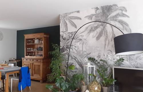 papier peint panoramique Nîmes