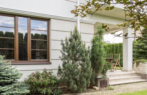 Aménagement de jardin 