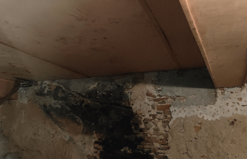 Rénovation d’une maison en cours à Vénérieu (38460)