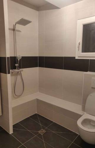Salle de bain PMR