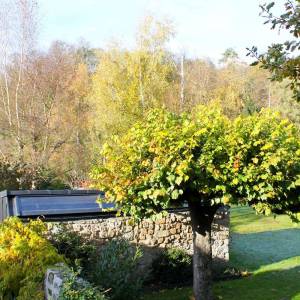 Création d'un atelier ossature bois, Val d'Oise - Vue sur le jardin