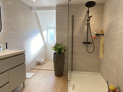 Rénovation de salle de bain à Torcy (77200)