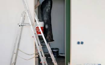 Peinture Rambouillet