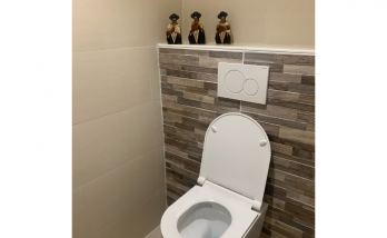 Réno toilettes Lyon