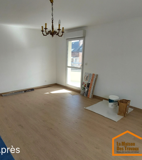 Appartement 1 salon après