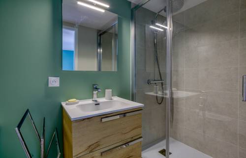 focus sur le lavabo et la douche