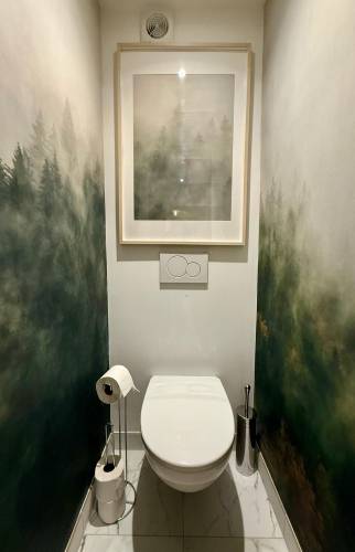 réno toilettes Châtel