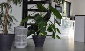 Rénovation de sol intérieur avec pose de béton ciré - Montpellier 34000