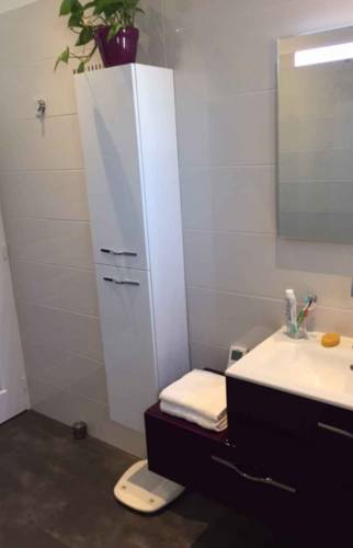 Rénovation complète d'une salle de bain à Pont St Martin (44)