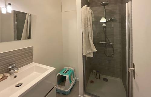 Salle de bain avec douche