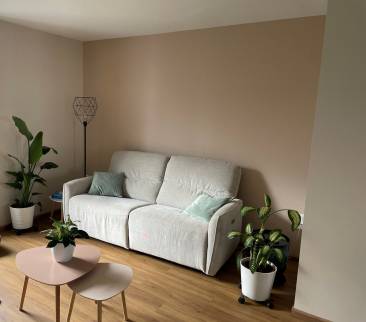 Rénovation de maison avec salon rénové - Ambérieu-en-Bugey 01500