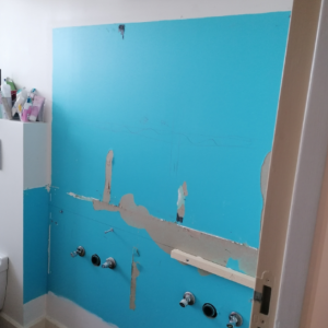 Rénovation avant salle de bains 