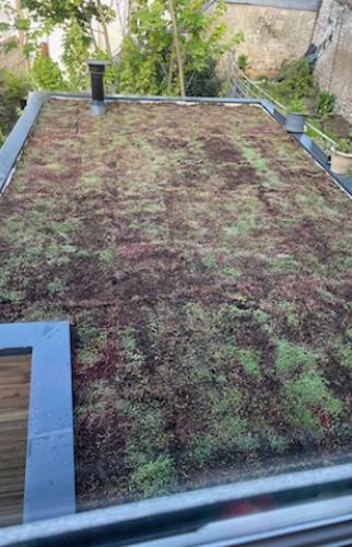 Toiture végétalisée et couvertine