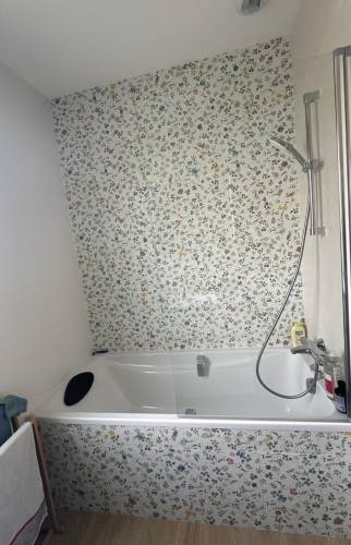 Baignoire et pare bain