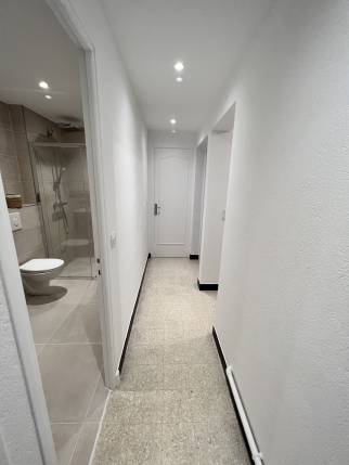 Rénovation des ouloirs