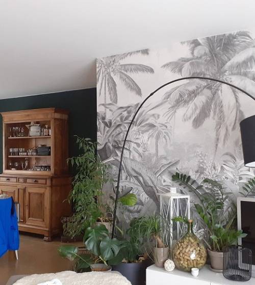 papier peint panoramique Nîmes