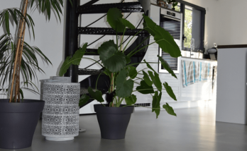 Réalisation d’un béton ciré