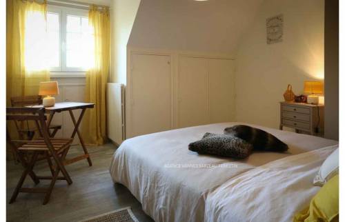 RENOVATION DE CHAMBRE A DAMGAN PAR LA MAISON DES TRAVAUX VANNES SARZEAU PENESTIN 