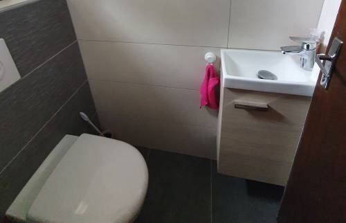 Installation des WC suspendus