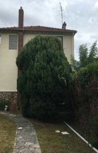 Jardin avant travaux (Montgeron 91230)