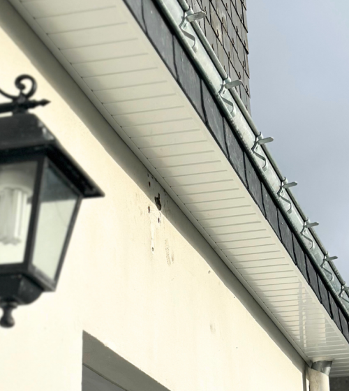 renovation cache moineau