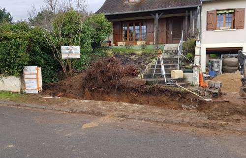 Arrachage des troènes