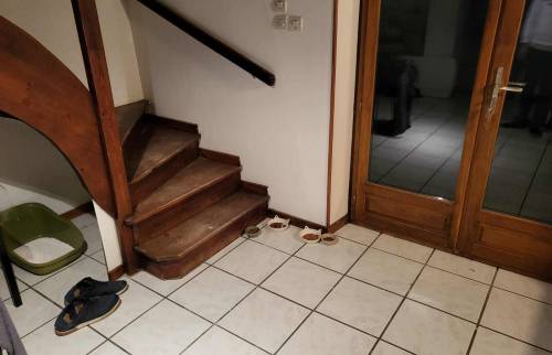 renovation maison appartement 