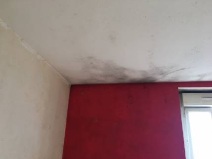 Plafond d'appartement avant travaux de rénovation à Nantes 44